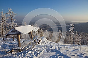 Bench in the winter forest