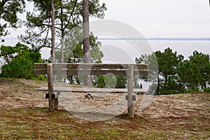 Bench wooden in the park pine forest with lake view in summer day on Hourtin coast France