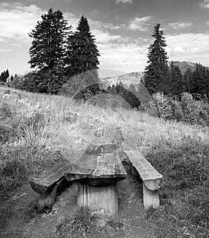 Bench and wooden table on a nice meadow. Mountain peaks and fir trees in bright sunlight in the background