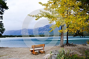 Bench and Yellow Leaves at side of Edith Lake, Canadian Rockies