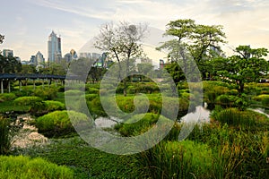 Benchakitti urban park in Bangkok