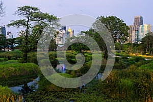 Benchakitti urban park in Bangkok