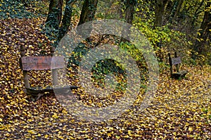 Benches in autumn