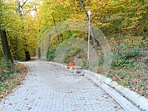 Benches in autumn park with beautiful pathway.