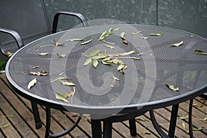 Benches and chairs at tables invite you to relax and unwind