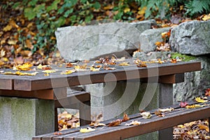 Benches and chairs at tables invite you to relax and unwind