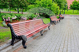 Benches in a city park on a rainy summer day