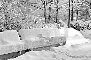 Benches in the evening winter park