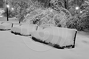 Benches in the evening winter park