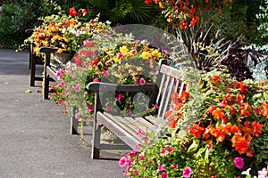 Benches and flowers