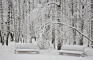 Benches in fluffy fresh snow on a frosty winter day