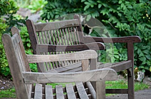 Benches in garden