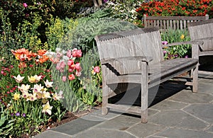 Benches in the garden