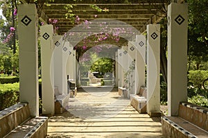 Benches in garden gallery