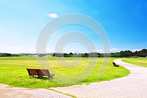 Benches on green grass against blue sky background