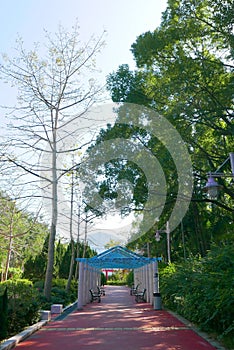 Benches, green plants and trees are in the park