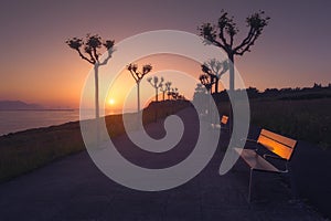 Benches in La Galea park in Getxo at sunset