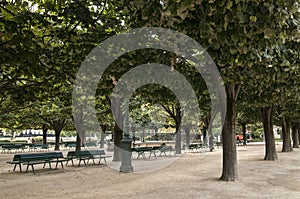Benches lined up in a park in Paris