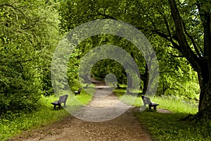 Benches for lonliness