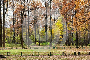 benches on meadow in urban park in autumn