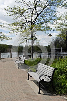 Benches near the waterfront