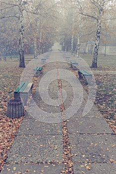 Benches in an old abandoned amusement park on a foggy autumn morning