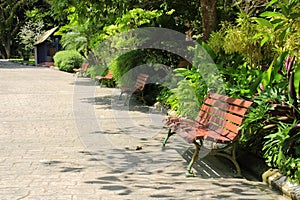 Benches in the Park