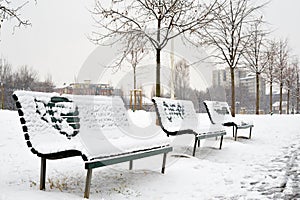 Benches in the park