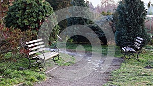 Benches in the park in autumn. Walking path in the park