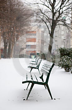 Benches in a park covered with snow