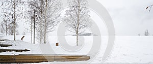 Benches in Park Covered in Snow near Trees in Winter