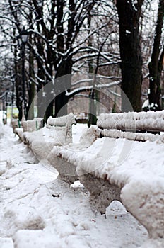 Benches in the park, covered with snow. Vertical view