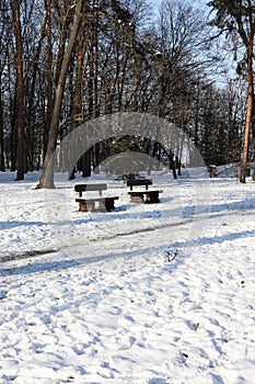 benches in the park covered in snow