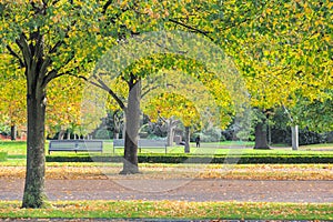 Benches in Regent`s Park of London in autumn photo