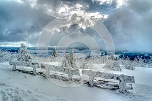 Benches in the snow