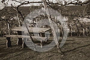 Benches and stone table amid a vineyard