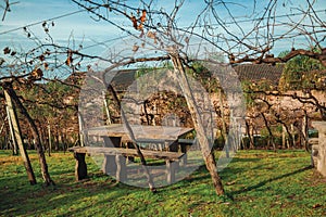 Benches and stone table amid a vineyard