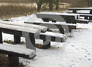 Benches And Tables