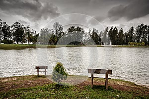 Benches at a Tranquil Lake