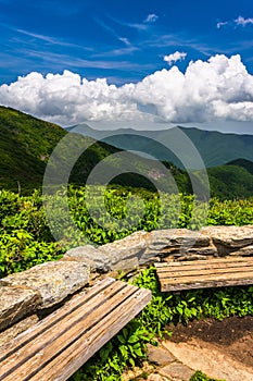 Benches and view of the Appalachians from Craggy Pinnacle