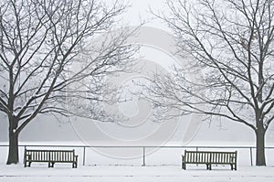 Benches in Winter Fog