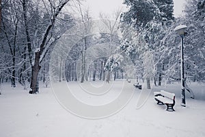 Benches in winter snowy park