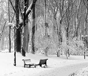 Benchs in snow in park
