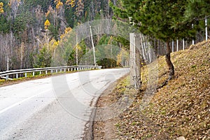 Bend in the asphalt road in the forest.