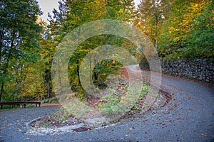 Bend in mountain road in the forest