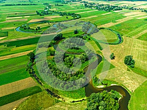 Bend of the Nida River in Poland