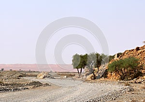 Bend in the road in the desert.