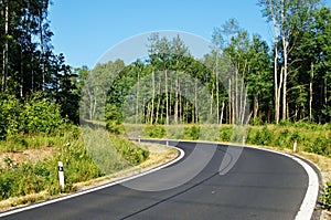 Bend of road between forests