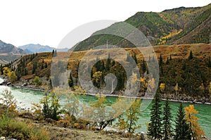 A bend of a wide turquoise mountain river flowing through a picturesque autumn valley