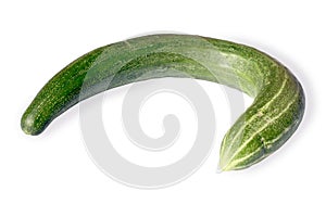 Bended Cucumber (w/ path)